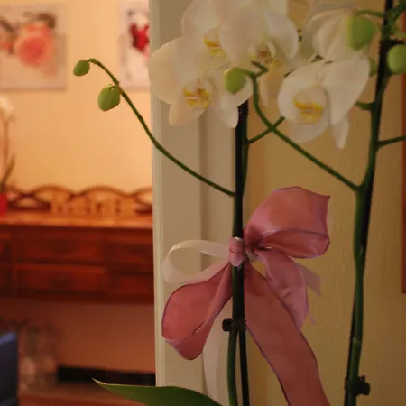 Catelli Bed & Breakfast 3*